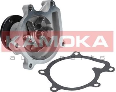 Water Pump, engine cooling T0269