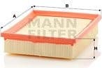 Air Filter C2490
