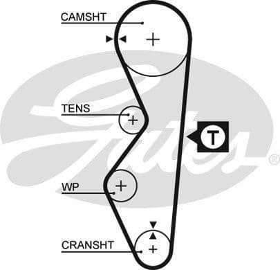 Timing Belt PowerGrip™ 5124 - image 2