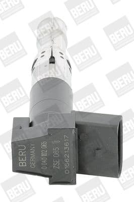 ZSE 065 (BorgWarner (BERU))