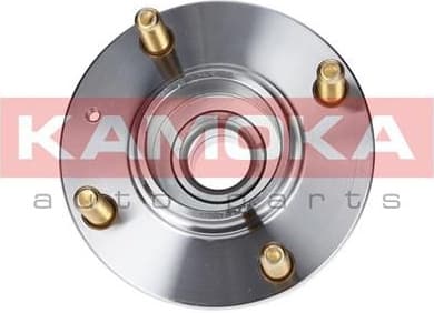 Wheel Bearing Kit 5500011