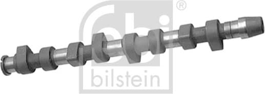 Camshaft 10011