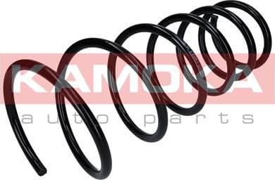 Coil spring 2110305