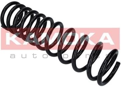 Suspension Spring 2120153 - image 5