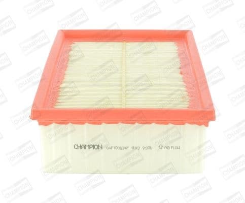 Air Filter CAF100834P