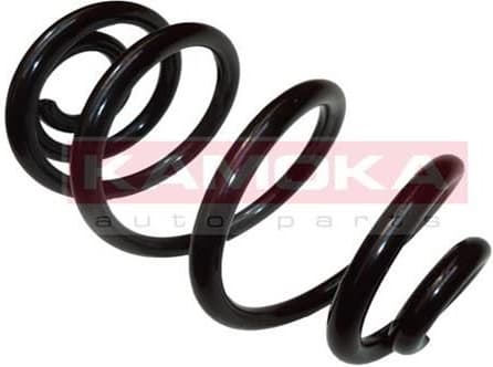 Suspension Spring 2120225