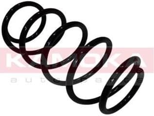 Suspension Spring 2110037