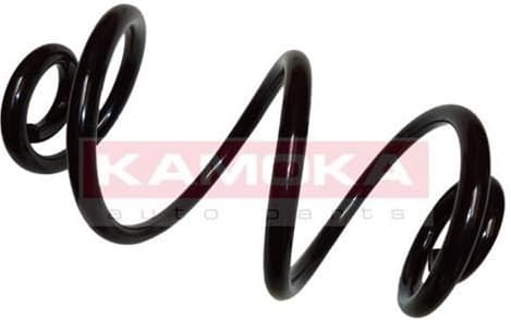 Coil spring 2120113