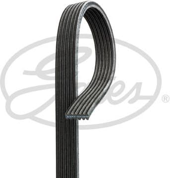 V-ribbed Belt Micro-V® 6DPK1698