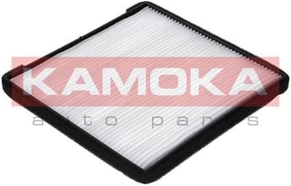 Filter, cabin air F402701