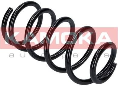 Suspension Spring 2120025