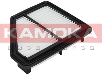 Air Filter F225601