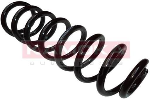 Coil spring 2120211