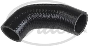 Radiator Hose 3175
