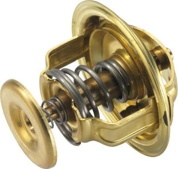 termostatas, aušinimo skystis - image 2