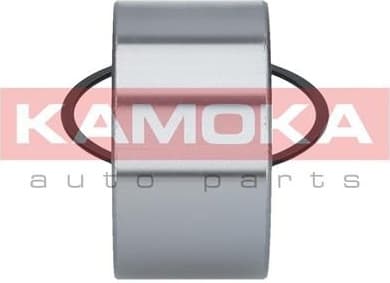 Wheel Bearing Kit 5600044 - image 4