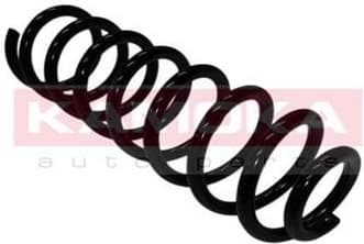 Coil spring 2110186