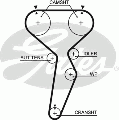 Timing Belt PowerGrip™ 5514XS