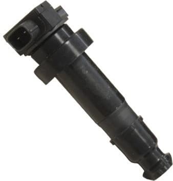 Ignition coil 134045