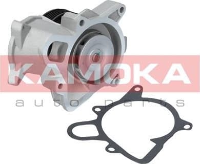 Water Pump, engine cooling T0173