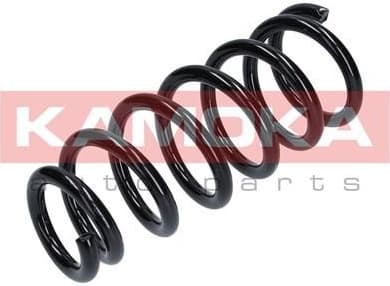 Coil spring 2120229