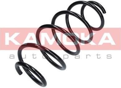 Coil spring 2110327