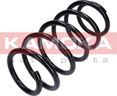 Coil spring 2110317