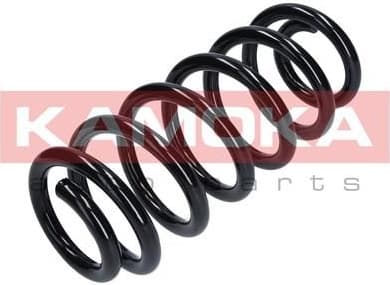 Coil spring 2110350