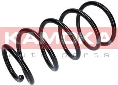 Coil spring 2110338
