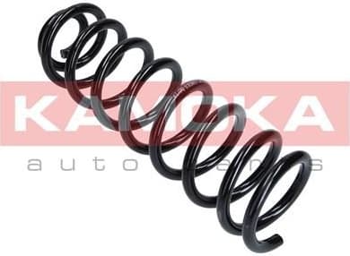 Coil spring 2120205
