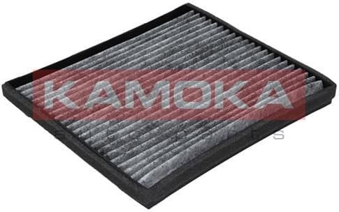 Filter, cabin air F502001