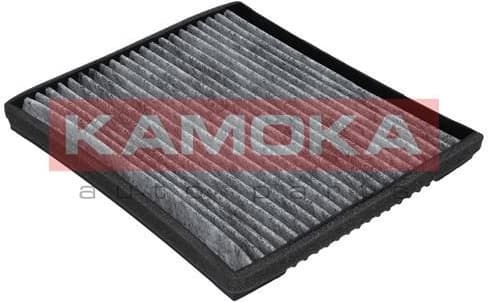 Filter, cabin air F502001 - image 2