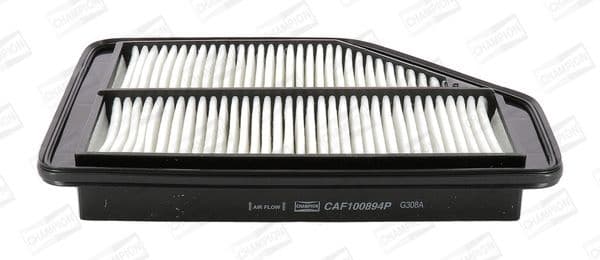 Air Filter CAF100894P