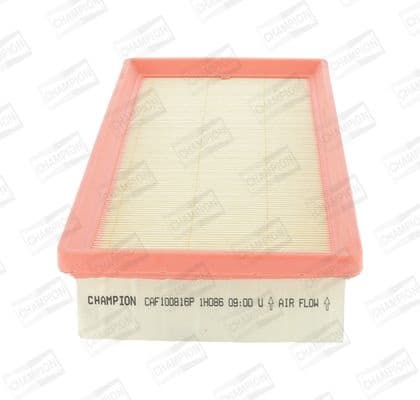 Air Filter CAF100816P