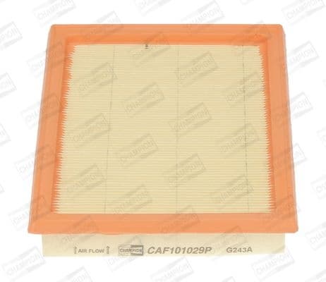 Air Filter CAF101029P
