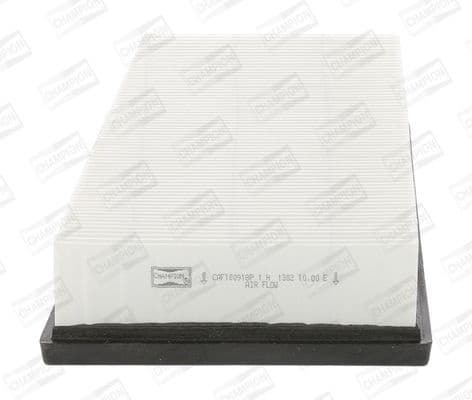 Air Filter CAF100918P