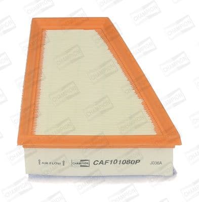 Air Filter CAF101080P