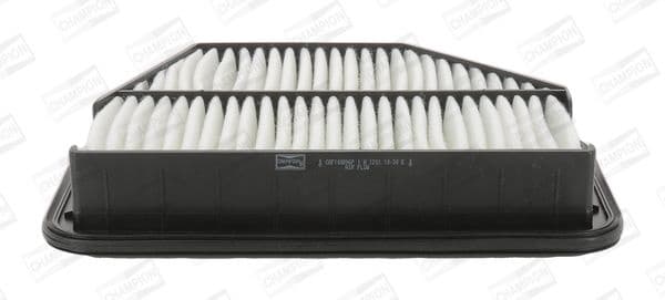 Air Filter CAF100896P