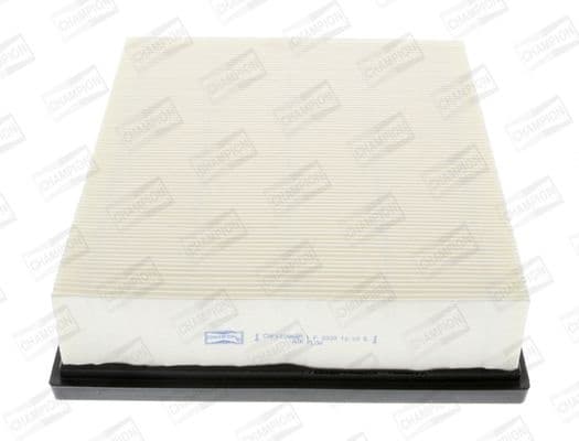 Air Filter CAF100866P