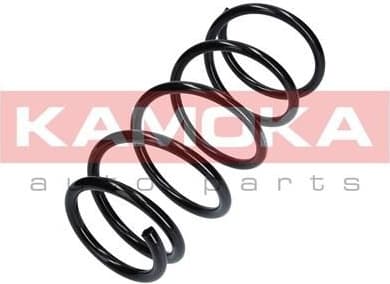 Coil spring 2120305