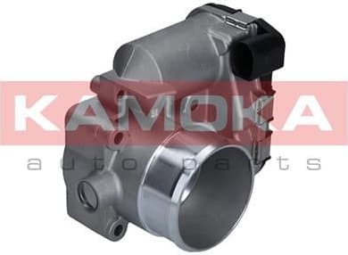 Throttle Body 112009