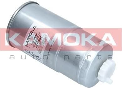 Fuel Filter F316001 - image 2