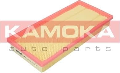 Air Filter F224201