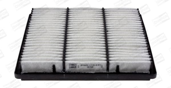 Air Filter CAF100675P