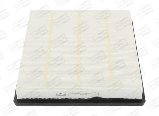 Air Filter CAF100954P