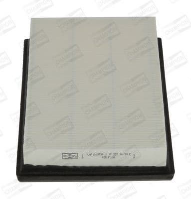 Air Filter CAF100979P
