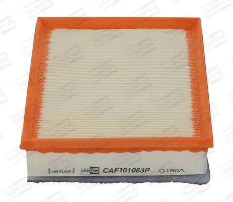 Air Filter CAF101063P