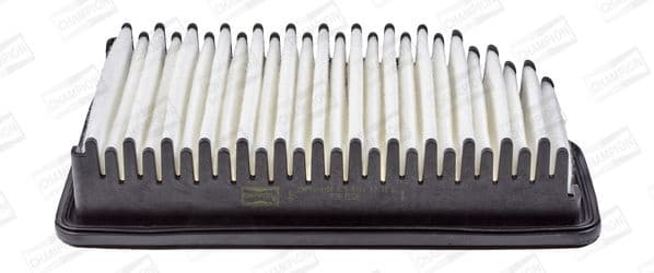 Air Filter CAF101032P