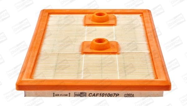Air Filter CAF101067P