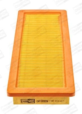 Air Filter CAF100929P